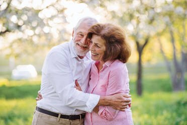 Schönes verliebtes älteres Paar bei einem Spaziergang in der Natur im Frühling unter blühenden Bäumen, die sich umarmen. - HPIF26572