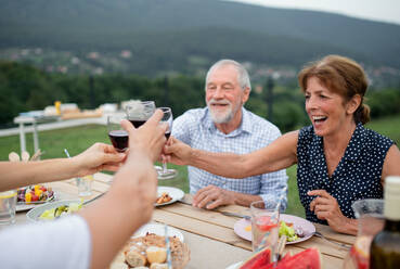 Porträt von Menschen mit Wein im Freien auf Familie Garten Grill, klirren Gläser. - HPIF26574