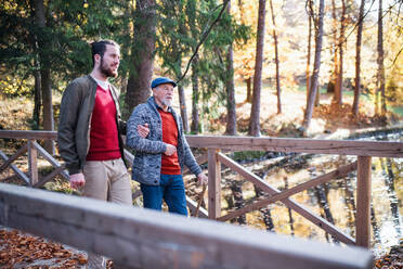 A senior father with walking stick and his son on walk in nature, talking. - HPIF26701