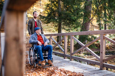Senior father with wheelchair and his son on walk in nature, having fun. - HPIF26703