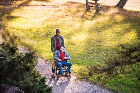 Ein älterer Vater mit Rollstuhl und sein Sohn auf einem Spaziergang in der Natur. - HPIF26715