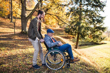 A senior father with wheelchair and his son on walk in nature. - HPIF26717