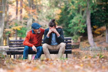 Senior father comforting his sad and frustrated adult son on bench in nature. - HPIF26740