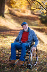 Älterer Mann mit Rollstuhl auf Spaziergang in herbstlicher Natur, in die Kamera schauend. - HPIF26764