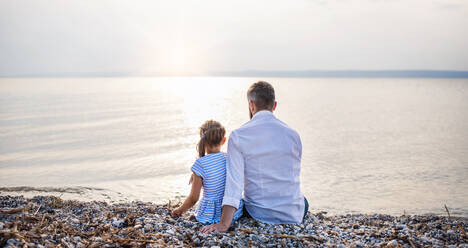 Rückansicht von Vater und kleiner Tochter im Urlaub am See oder Meer. - HPIF26984