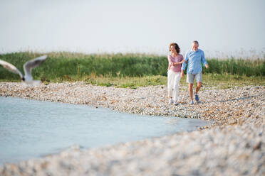 A senior couple on a holiday walking by the lake. Copy space. - HPIF27028