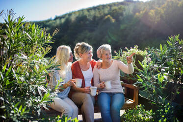 Group of senior women friends sitting outdoors on terrace, resting. - HPIF27162