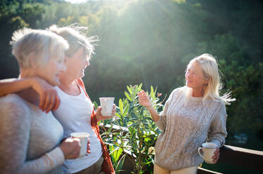 Eine Gruppe älterer Frauen steht im Freien auf einer Terrasse und unterhält sich. - HPIF27166