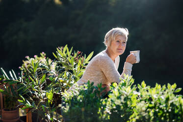 Side view of senior woman with coffee standing outdoors on terrace, resting. - HPIF27169