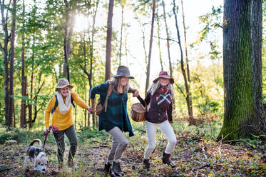 Ältere Frauen Freunde mit Hund auf Spaziergang im Freien im Wald, laufen. - HPIF27177