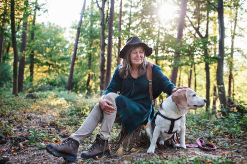 Eine glückliche ältere Frau mit Hund auf einem Spaziergang im Freien im Wald, ausruhen. - HPIF27178