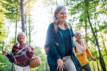 Ältere Frauen Freunde mit Korb zu Fuß im Freien im Wald. - HPIF27181
