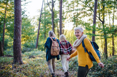 Ältere Frauen Freunde mit Korb zu Fuß im Freien im Wald. - HPIF27182