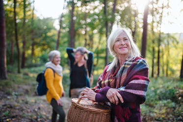Ältere Frauen Freunde mit Korb zu Fuß im Freien im Wald. - HPIF27183