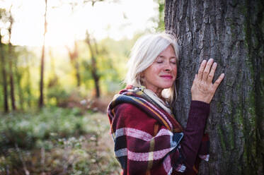 Aktive ältere Frau bei einem Spaziergang in einem schönen Herbstwald, die sich an einen Baum schmiegt. - HPIF27185