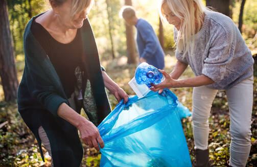 Eine Gruppe älterer Freundinnen sammelt draußen im Wald Müll auf, ein Plogging-Konzept. - HPIF27189