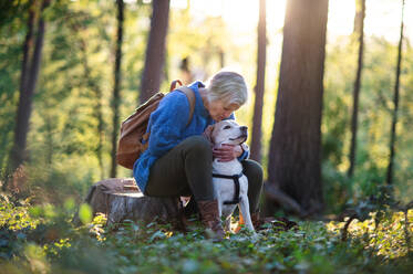 Eine glückliche ältere Frau mit Hund auf einem Spaziergang im Freien im Wald, ausruhen. - HPIF27202