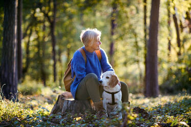 Eine glückliche ältere Frau mit Hund auf einem Spaziergang im Freien im Wald, ausruhen. - HPIF27203