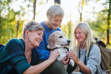 Senior women friends with dog on walk outdoors in forest, resting. - HPIF27206