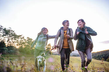 Ältere Frauen Freunde mit Hund auf Spaziergang im Freien in der Natur, laufen. - HPIF27212