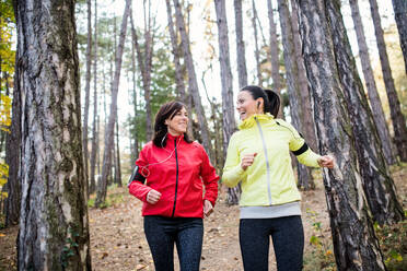 Zwei Läuferinnen mit Kopfhörern und Smartphones in Armbinden joggen draußen im Wald in herbstlicher Natur und unterhalten sich. - HPIF27264