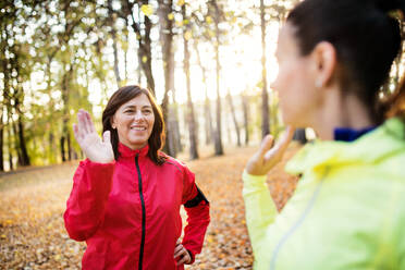 Zwei weibliche Läufer, die sich im Freien im Wald in der herbstlichen Natur strecken und bei Sonnenuntergang ein High Five geben. - HPIF27272
