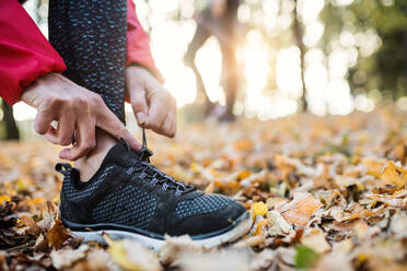 A midsection view of hands of female runner outdoors in autumn nature, tying shoelaces. - HPIF27275