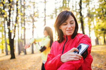 Zwei Läuferinnen mit Smartphone stehen draußen im Wald in herbstlicher Natur und messen die Zeit. - HPIF27279