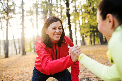Two female runners stretching outdoors in forest in autumn nature, shaking hands at sunset. - HPIF27282