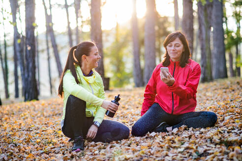 Zwei weibliche Läufer mit Smartphone und Wasserflasche sitzen auf dem Boden im Freien im Wald im Herbst Natur, ausruhen. - HPIF27283