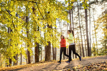 Zwei aktive Läuferinnen joggen im Freien im Wald in der herbstlichen Natur. - HPIF27288