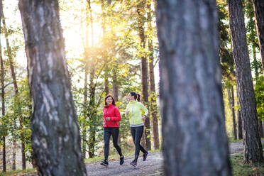 Two active female runners jogging outdoors in forest in autumn nature. - HPIF27291
