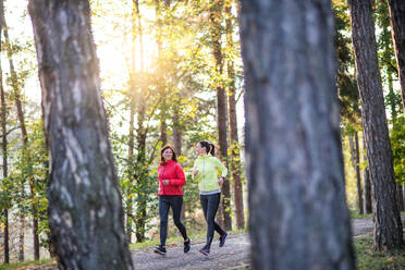 Zwei aktive Läuferinnen joggen im Freien im Wald in der herbstlichen Natur. - HPIF27291