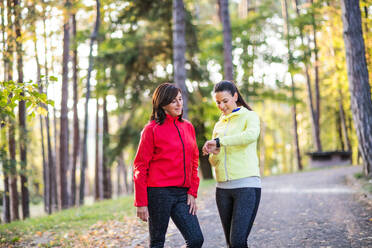 Two female runners with smartwatch standing on a road outdoors in forest in autumn nature, measuring or checking the time. - HPIF27292
