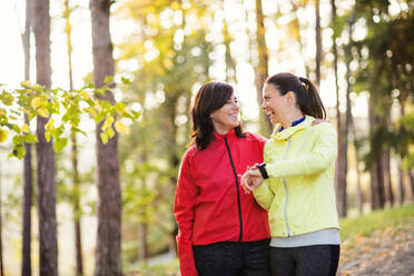 Two female runners with smartwatch standing on a road outdoors in forest in autumn nature, measuring or checking the time. - HPIF27293