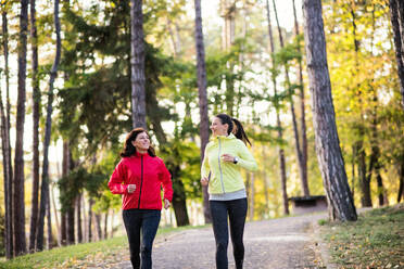 Zwei aktive Läuferinnen joggen im Freien im Wald in der herbstlichen Natur. - HPIF27294