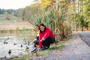 Zwei Läuferinnen am See in einem Park in der Natur, die beim Ausruhen Enten füttern. - HPIF27297