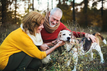 Ein glückliches älteres Paar mit einem Hund in herbstlicher Natur. - HPIF27352