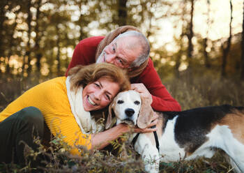 Ein glückliches älteres Paar mit einem Hund bei einem Spaziergang in der herbstlichen Natur bei Sonnenuntergang. - HPIF27354