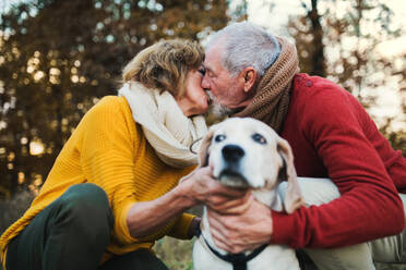 Ein glückliches älteres Paar mit einem Hund in herbstlicher Natur, das sich küsst. - HPIF27356