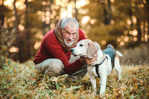 Ein glücklicher älterer Mann mit einem Hund bei einem Spaziergang in der herbstlichen Natur bei Sonnenuntergang. - HPIF27362