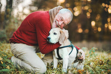 A happy senior man with a dog on a walk in an autumn nature at sunset. - HPIF27363