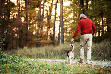 Rückansicht eines älteren Mannes, der mit einem Hund in einer herbstlichen Natur bei Sonnenuntergang spazieren geht. Kopierraum. - HPIF27365