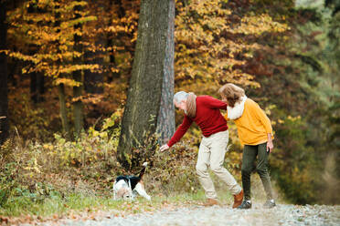 Ein glückliches Seniorenpaar mit einem Hund auf einem Spaziergang in der herbstlichen Natur. - HPIF27366