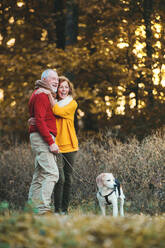 A happy senior couple with a dog standing in an autumn nature, hugging. - HPIF27368