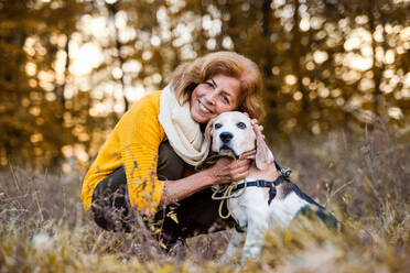 Eine glückliche ältere Frau mit einem Hund auf einem Spaziergang in einer herbstlichen Natur bei Sonnenuntergang. - HPIF27369