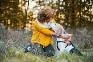 Eine glückliche ältere Frau mit einem Hund auf einem Spaziergang in einer herbstlichen Natur bei Sonnenuntergang. - HPIF27370