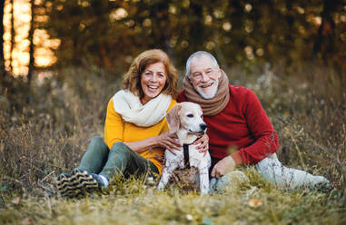 A happy senior couple sitting on a grass with a dog in an autumn nature at sunset. - HPIF27371