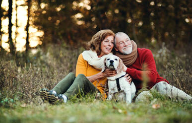 A happy senior couple with a dog on a walk in an autumn nature at sunset. - HPIF27372