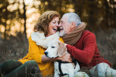 A happy senior couple with a dog on a walk in an autumn nature at sunset. - HPIF27374